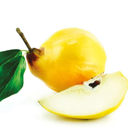 Confettura extra di mele cotogne